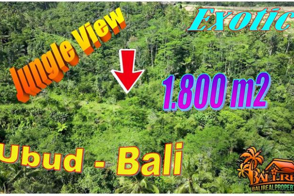 Beautiful Ubud Tegalalang LAND for SALE TJUB872