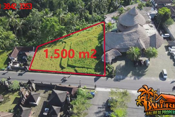 Leasehold Land for sale in Tegalalang Ubud Bali TSUB067
