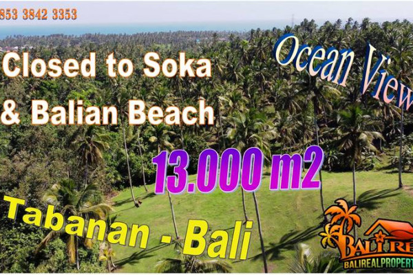 Exotic 10,000 m2 LAND FOR SALE IN Selemadeg Barat, Tabanan BALI TJTB755