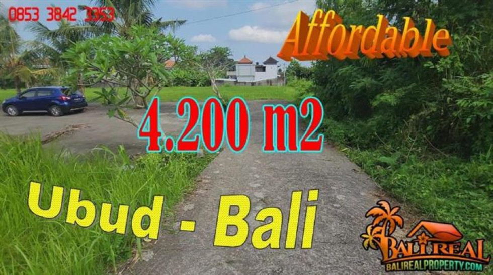 FOR SALE Affordable 4,300 m2 LAND in Sukawati Ubud TJUB868