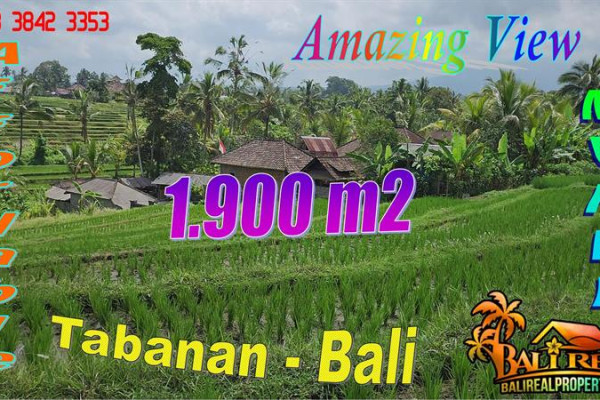 Exotic 1,950 m2 LAND FOR SALE IN Penebel Tabanan BALI TJTB771