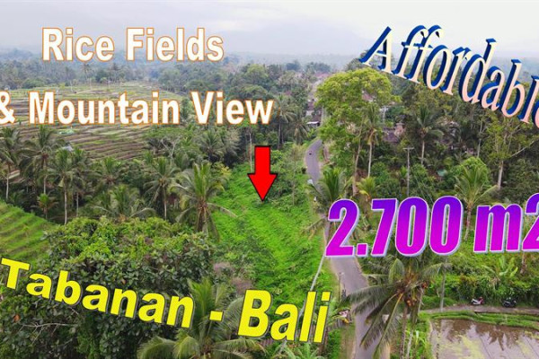 Magnificent 2,700 m2 LAND SALE IN Penebel Tabanan BALI TJTB773