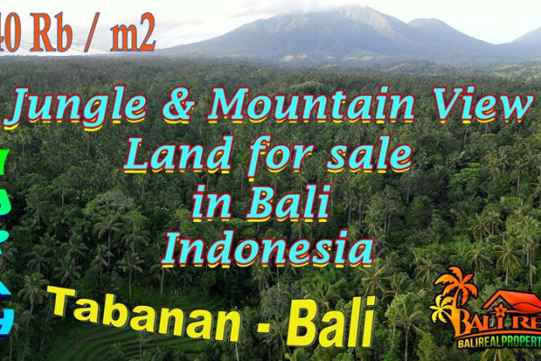 12,980 m2 LAND FOR SALE IN Penebel Tabanan BALI TJTB795