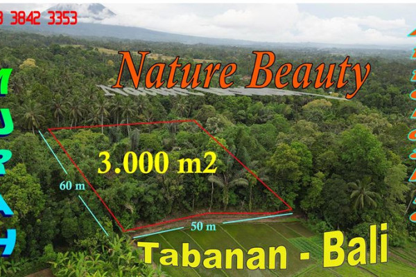 Magnificent PROPERTY LAND IN Penebel Tabanan BALI FOR SALE TJTB794