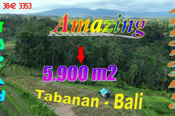 FOR SALE Cheap property LAND IN Penebel Tabanan TJTB799