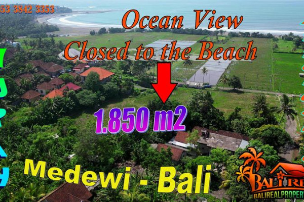 Affordable PROPERTY LAND SALE IN Jembrana BALI with Ocean View TJB2038