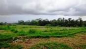TJUB084 land for sale in ubud bali 05