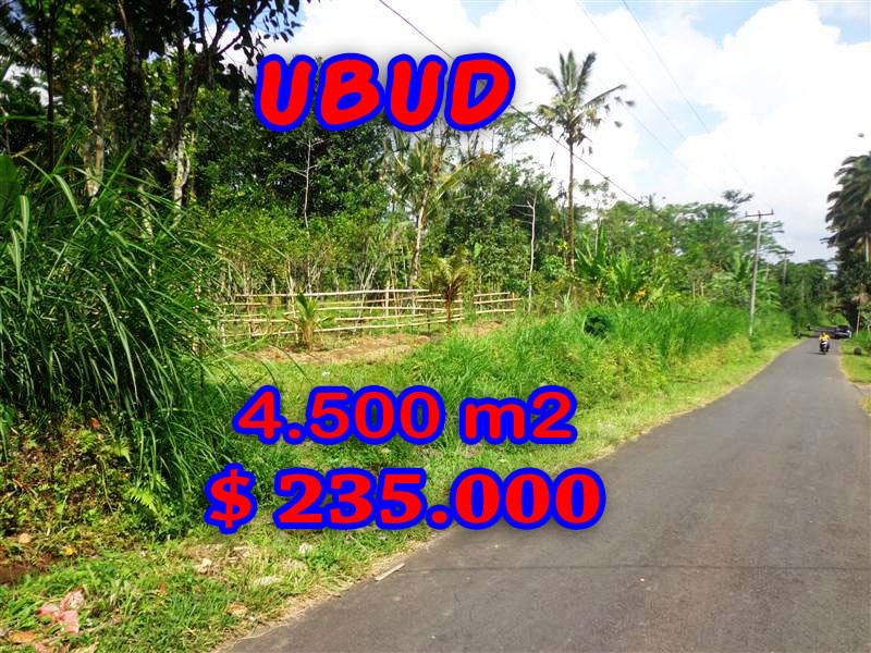 Land-for-sale-in-Ubud-Bali