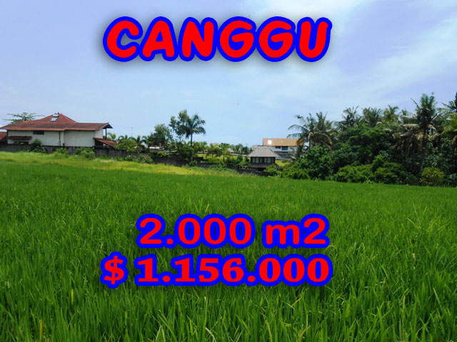 Land sale in Canggu