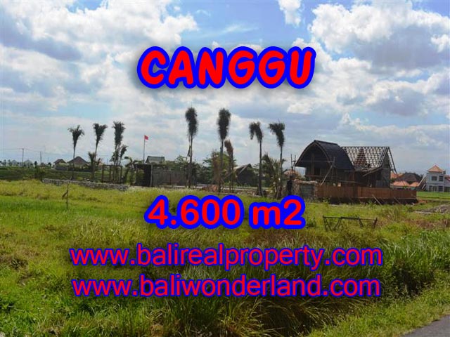 Tanah dijual di Canggu