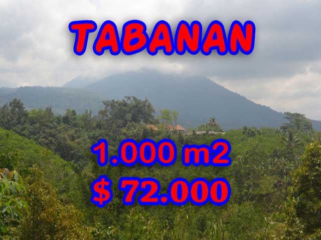 PROPERTY FOR SALE IN TABANAN LAND