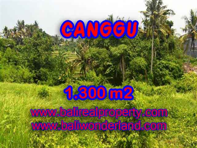 Land for sale in Bali, exotic view in Canggu Batu bolong Bali – TJCG136