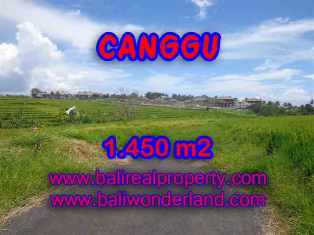 Land in Bali for sale, extraordinary view in Canggu Cemagi – TJCG137