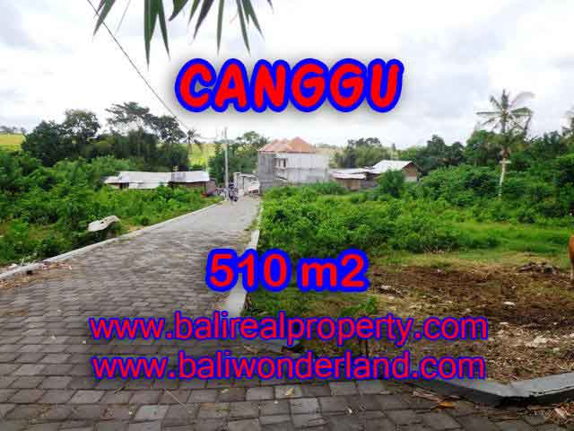 Astonishing Property for sale in Bali, LAND FOR SALE IN CANGGU Bali – TJCG150