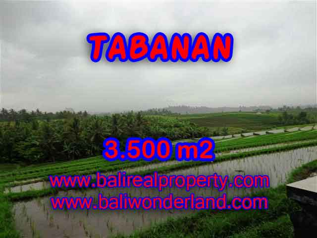 Land for sale in Tabanan Bali, Unbelievable view in Tabanan selemadeg – TJTB141