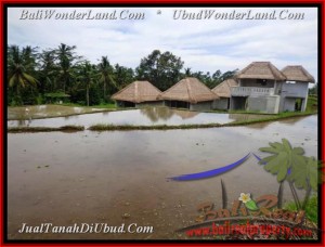Exotic PROPERTY 350 m2 LAND IN Ubud Tegalalang BALI FOR SALE TJUB476