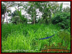 Exotic PROPERTY LAND IN UBUD FOR SALE TJUB481