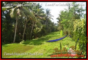 Exotic LAND IN Sentral Ubud BALI FOR SALE TJUB448