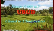 LAND SALE IN Sentral Ubud TJUB449