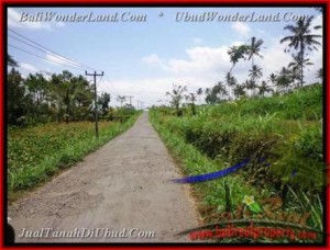 Magnificent 2.670 m2 LAND IN UBUD FOR SALE TJUB451