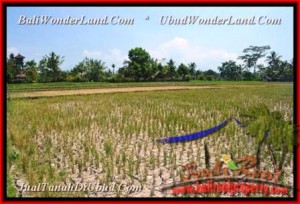 Affordable PROPERTY LAND FOR SALE IN Ubud Pejeng BALI TJUB456