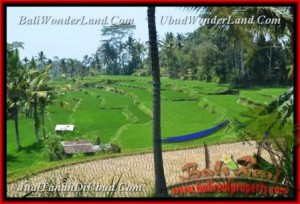 Magnificent PROPERTY Ubud Pejeng BALI LAND FOR SALE TJUB456