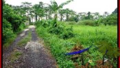 Exotic PROPERTY 2,600 m2 LAND IN Sentral Ubud FOR SALE TJUB491
