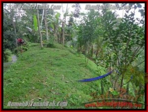 Magnificent PROPERTY 1,200 m2 LAND IN Ubud Tegalalang FOR SALE TJUB422