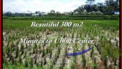 FOR SALE Affordable LAND IN Sentral Ubud BALI TJUB500