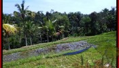 FOR SALE Affordable LAND IN Ubud Tegalalang BALI TJUB505