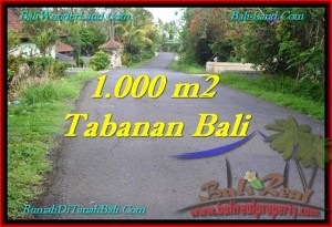 Magnificent PROPERTY 1,000 m2 LAND IN Tabanan Selemadeg FOR SALE TJTB243