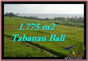 Magnificent 1,775 m2 LAND SALE IN TABANAN BALI TJTB251
