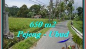 Exotic LAND FOR SALE IN UBUD TJUB522