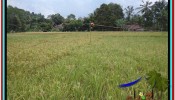 Exotic LAND FOR SALE IN UBUD TJUB522