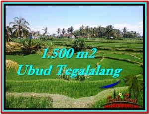 Beautiful PROPERTY LAND IN UBUD BALI FOR SALE TJUB528
