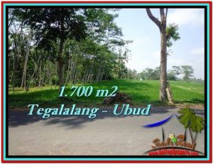 Exotic PROPERTY 1,700 m2 LAND SALE IN Ubud Tegalalang TJUB518