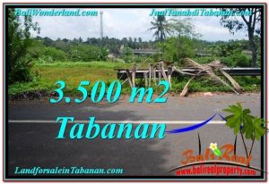 LAND IN Tabanan Selemadeg BALI FOR SALE TJTB298