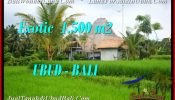 Beautiful PROPERTY 1,500 m2 LAND SALE IN Ubud Pejeng BALI TJUB541