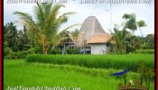 Beautiful PROPERTY 1,500 m2 LAND SALE IN Ubud Pejeng BALI TJUB541