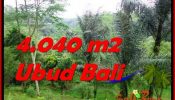 FOR SALE Affordable LAND IN Ubud Tegalalang BALI TJUB555