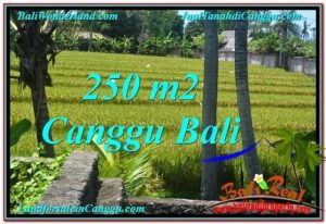 Exotic PROPERTY 250 m2 LAND FOR SALE IN CANGGU BALI TJCG207
