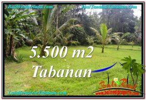 5,500 m2 LAND SALE IN TABANAN TJTB295
