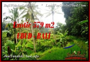 FOR SALE Exotic PROPERTY LAND IN UBUD TJUB538