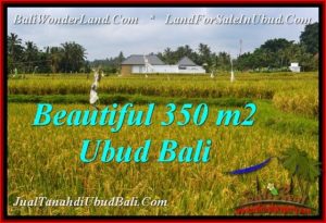 FOR SALE Magnificent PROPERTY 350 m2 LAND IN Sentral Ubud TJUB540
