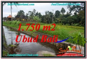 Exotic LAND FOR SALE IN UBUD TJUB557