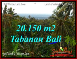 Affordable PROPERTY 20,150 m2 LAND IN TABANAN FOR SALE TJTB322