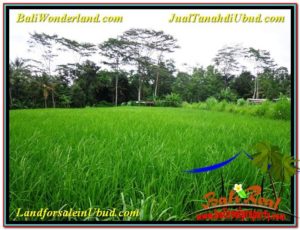 Magnificent PROPERTY LAND FOR SALE IN UBUD BALI TJUB563