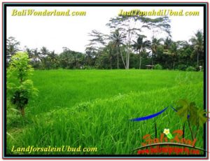 Magnificent PROPERTY LAND FOR SALE IN UBUD BALI TJUB563