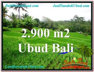 Ubud Tampak Siring BALI LAND FOR SALE TJUB564