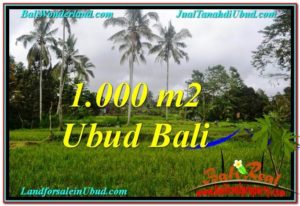 FOR SALE Affordable PROPERTY 1,000 m2 LAND IN UBUD BALI TJUB570
